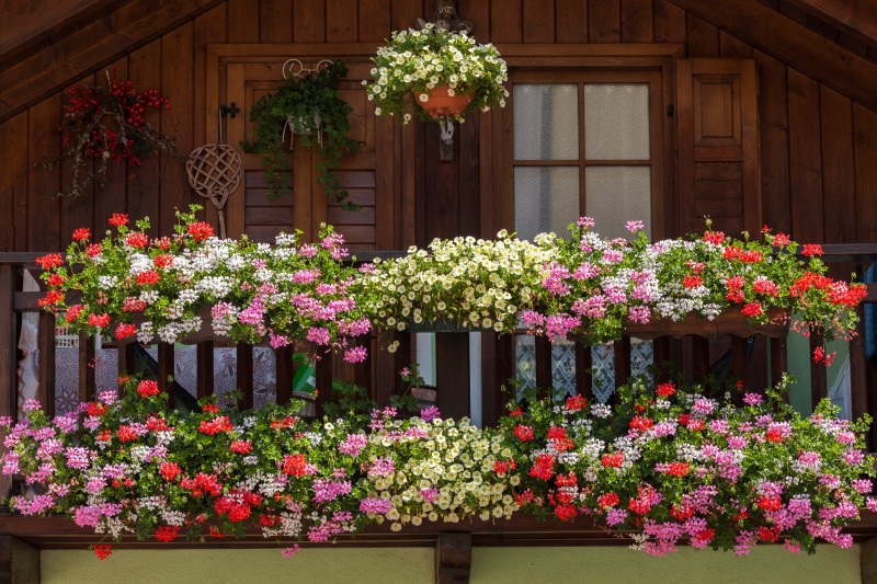 KRONEN® Ziemia do pelargonii i roślin balkonowych